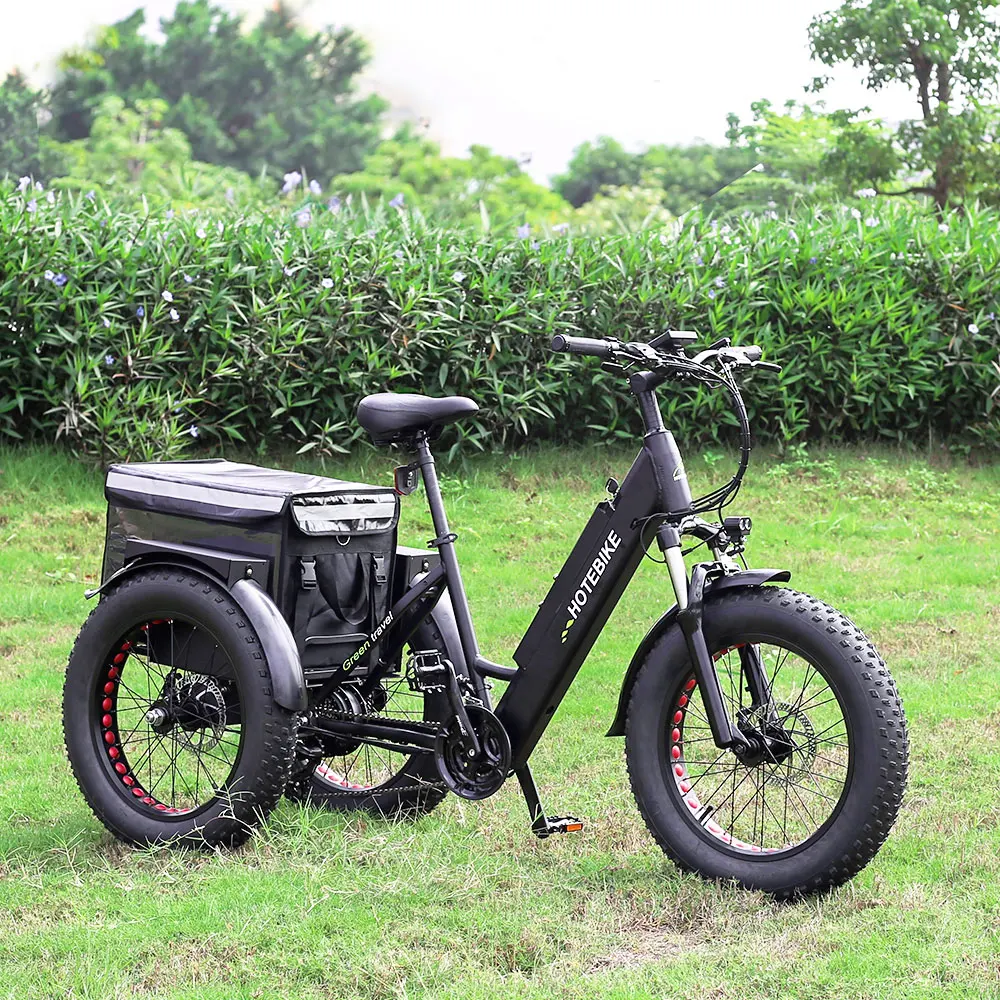 electric bicycle tricycle 20*4.0 inch Fat tire electric cargo tricycle for adult 36V350W electric tricycles three wheel