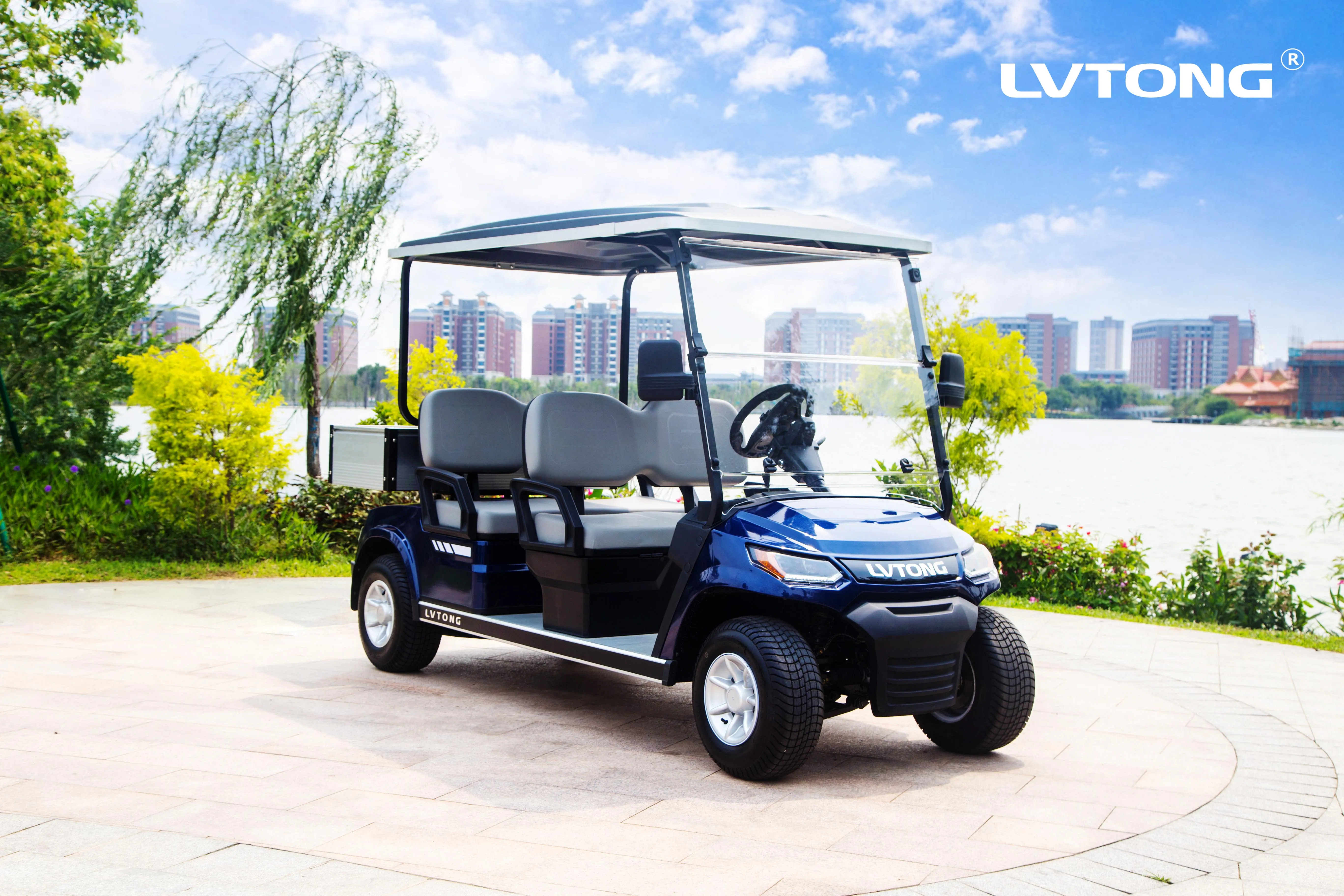 Stand Up Street Legal Zone Electric Utility Cart Golf Cart Car Golfcart Electric From China