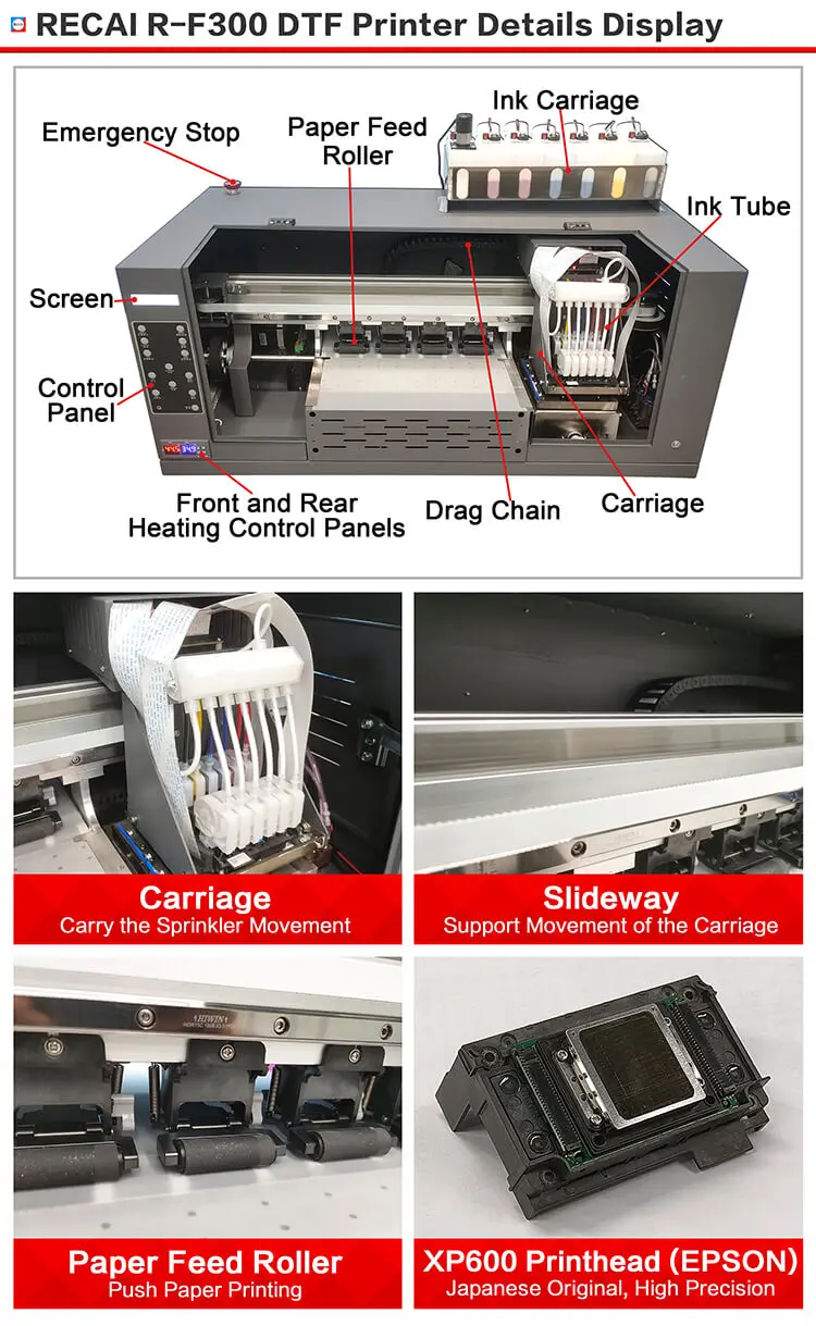 RECAI 30cm Direct To Film Printer T shirt Printing Machine DTF Printer with Shake Powder Machine