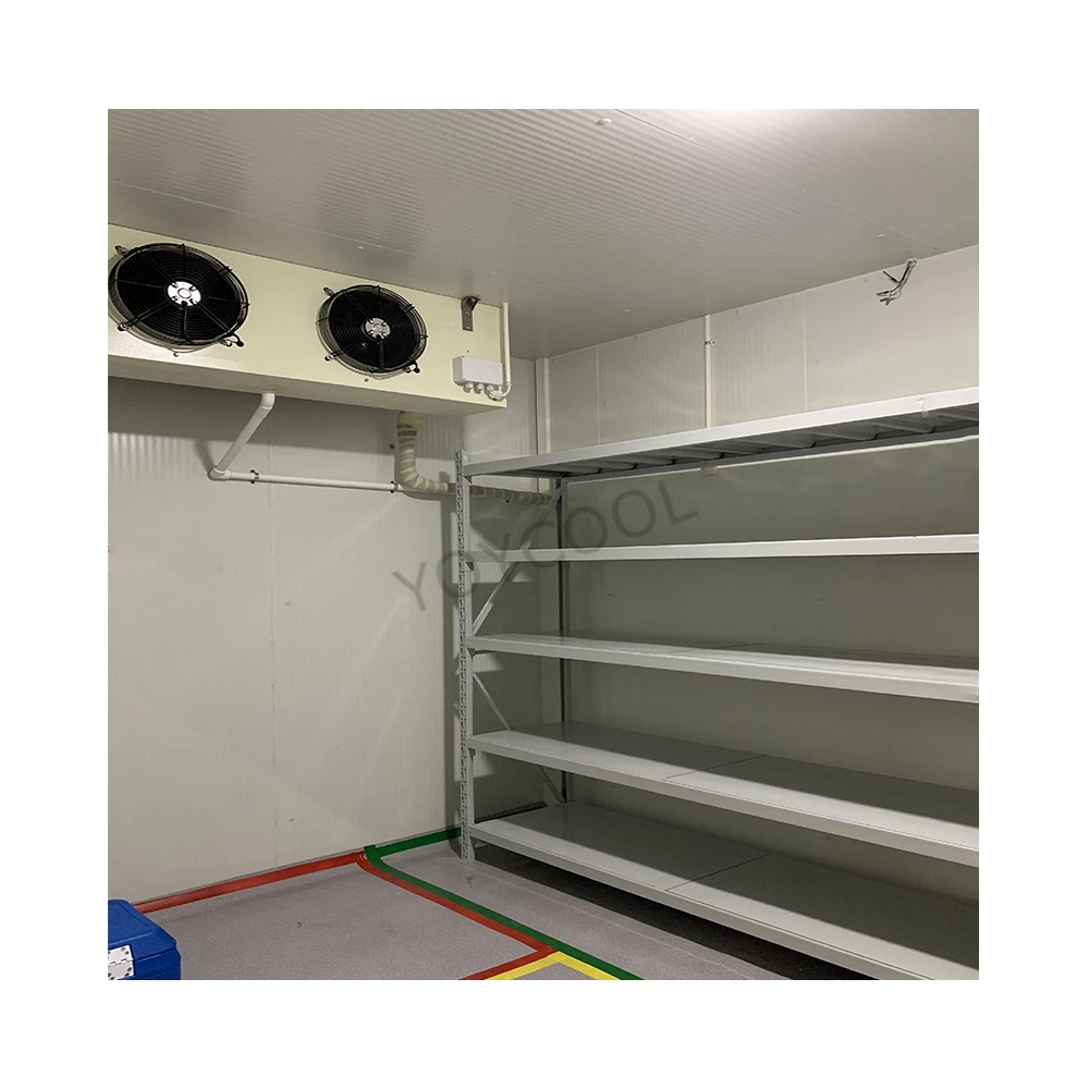 
factory price Highly efficient 20GP/40HQ Containerized Mobile Solar Powered ColdRoom/movable cold room/solar power coold storage 
