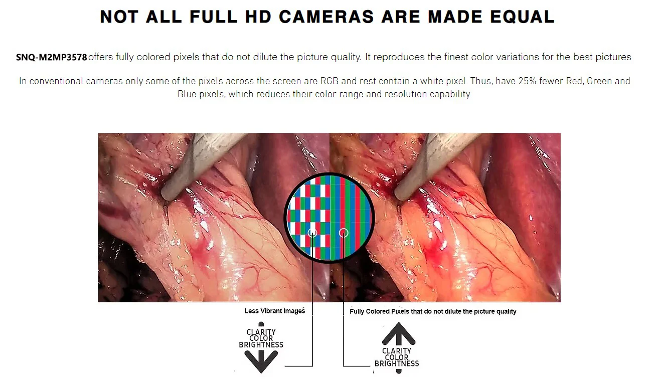 Factory Outlet Medical Endoscope Veterinary Equipment For Animal Diagnosis  Customizable FHD Endoscopic