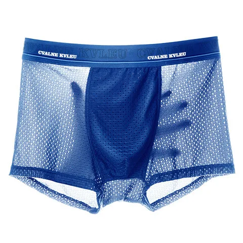 Breathable Ice Silk Sexy Mens Boxers Briefs Transparent Modal Underwear