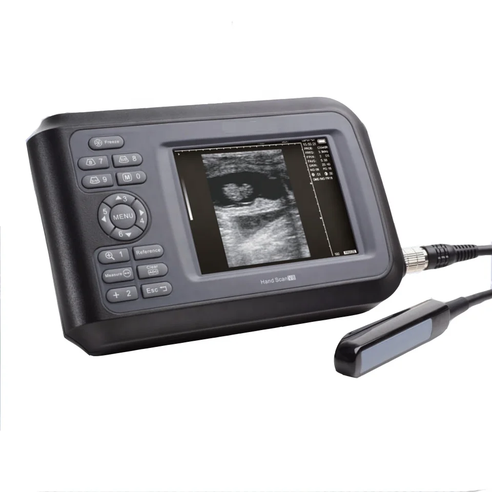 BW Vet Ultrasound Ecografos Hand Sacn Ultrasonido Portatil Livestock Veterinary Ultrasonography Machine