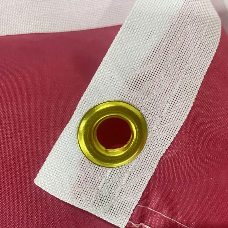 2024 American Vote Flag Pink Musician Flags for Room College Dorm Bedroom Wall Tapestry Decor Funny Party Banner