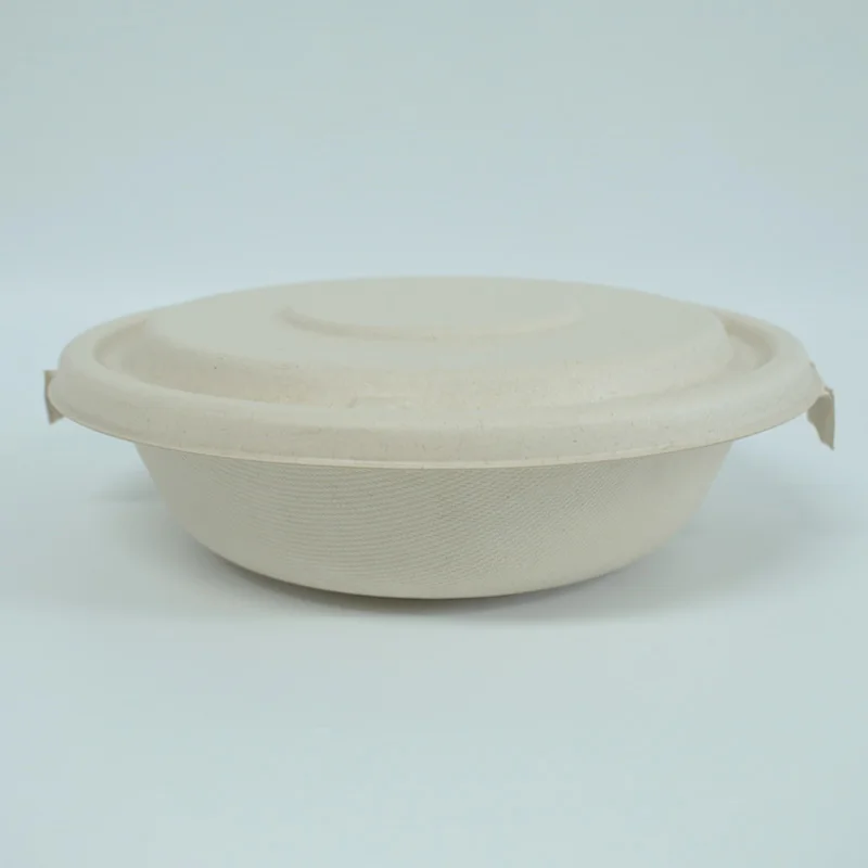 Natural Degradable Compostable Take Out Food Bento Container Box Biodegradable Disposable Sugarcane Bagasse Bowl