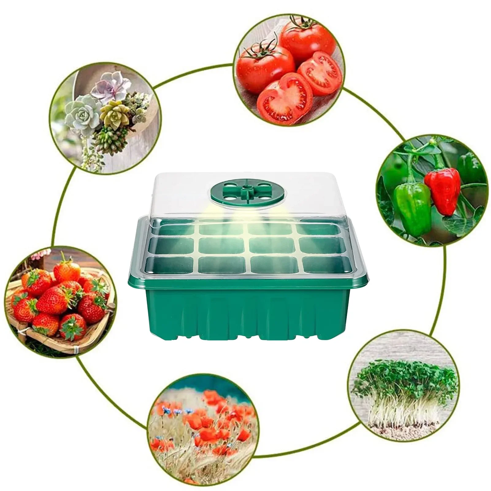 5 Pcs a pack Starter Kit Adjustable Brightness Humidity Starter Tray Grow Kit with Grow Light vegetable Plant seeding
