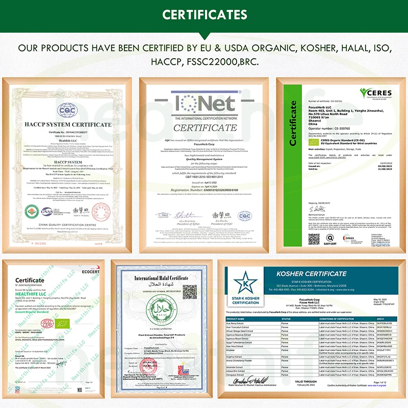 Healthife OEM протеиновый порошок изолированный сывороточный
