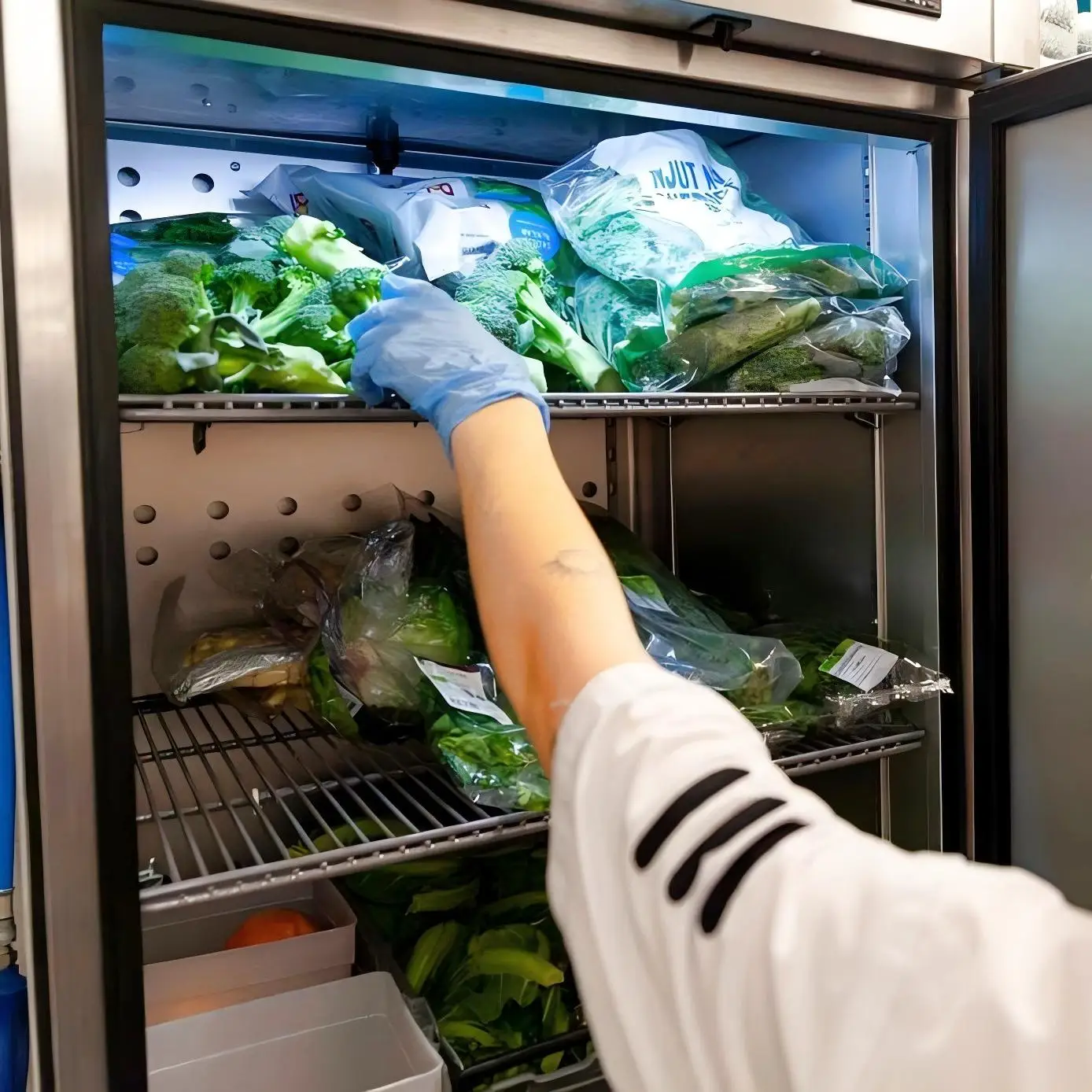 Professional Commercial Kitchen Fridge Stainless Steel Upright Chiller with Glass Door Meat Storage Cooling Refrigerator