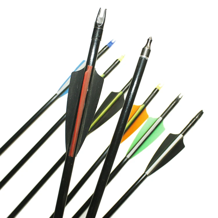 31-Inch Fiberglass Arrow with 100 Grain Replaceable Target for Recurve Bow&Compound Bow Spine 500