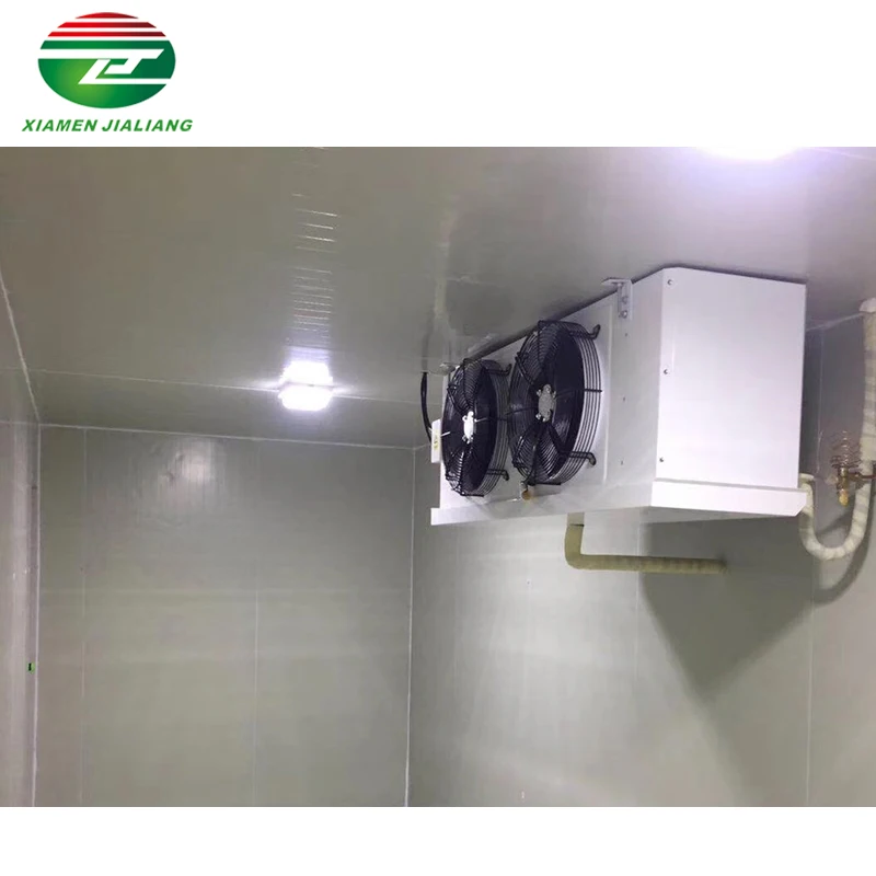 low temperature cold room Chiken cool room walk in freezer storage cold storage refrigeration