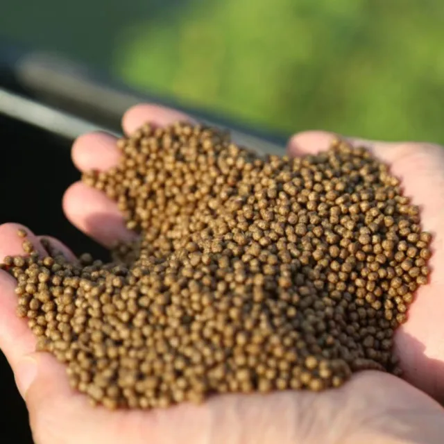 Factory wholesale Chongqing Sitejia professional feeding fish feed frog floating compound feed frog special jia