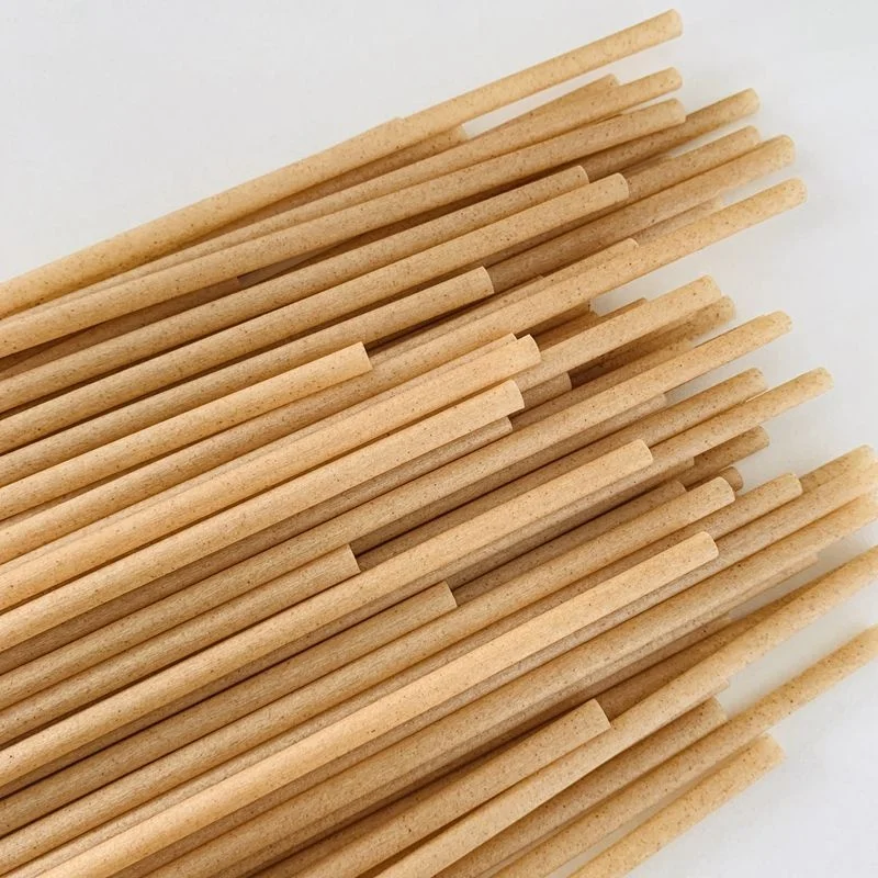 Hot Sale Compostable Biodegradable Fashion Ecological Sugar Cane Straws Sugarcane Bagasse Paper Pulp Straw