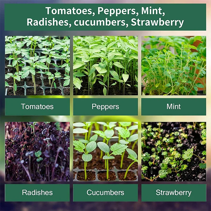 Hot Sale Heavy Duty Hydroponic Fodder Polystyrene Nursery Seeding Flat Trays