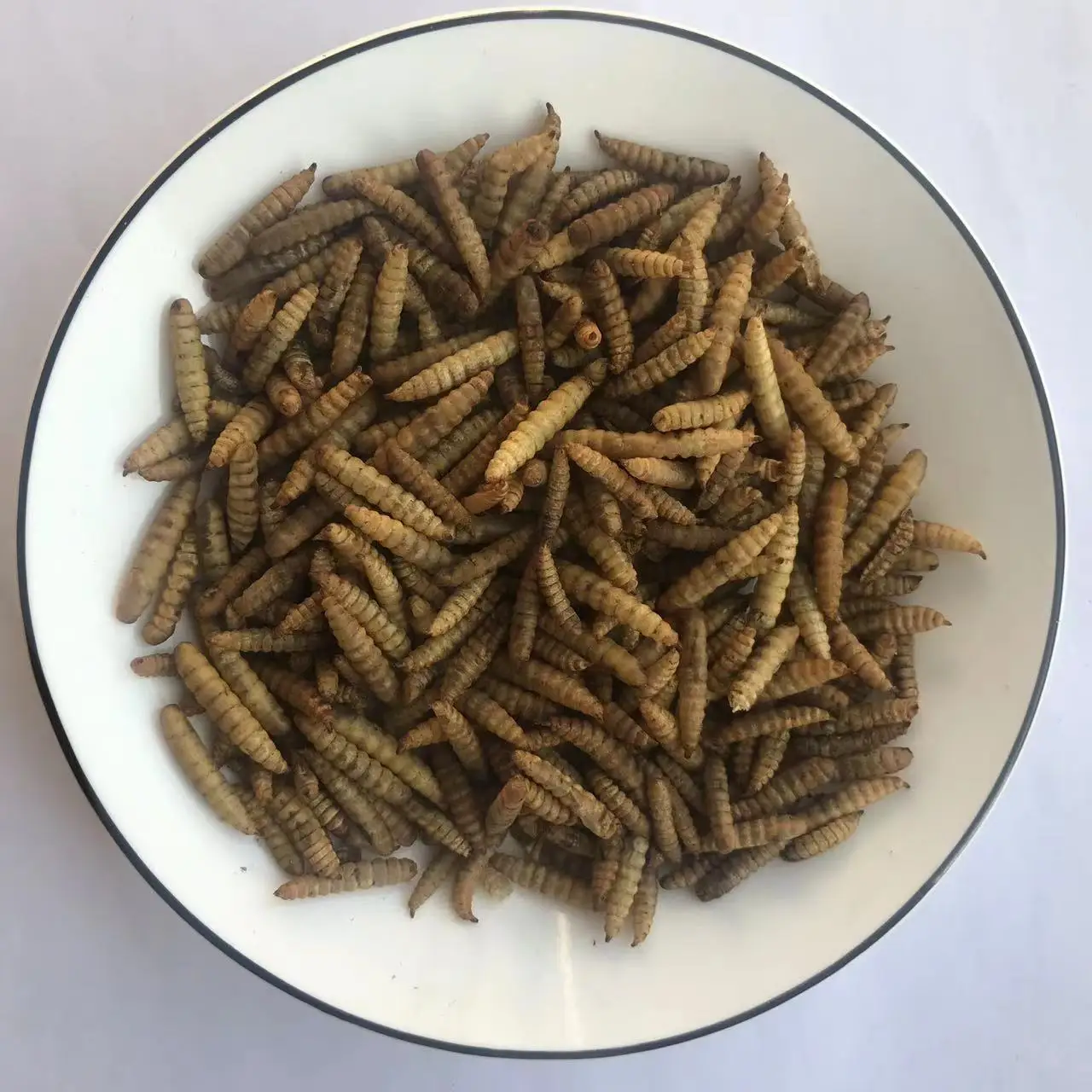 Черные солдатики личинки сушеные корм для животных пищевые съедобные черви