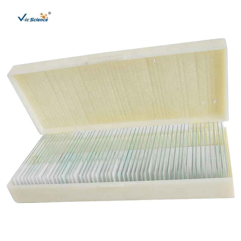 
Studying Microscope Prepared Slides Histology Glass Slides Human Histology Tissue Slides 