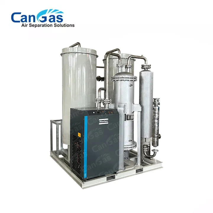 CAN GAS High Purity 5N 6N PSA Nitrogen Generator working with hydrogen generator to make green  power to X like green ammonia