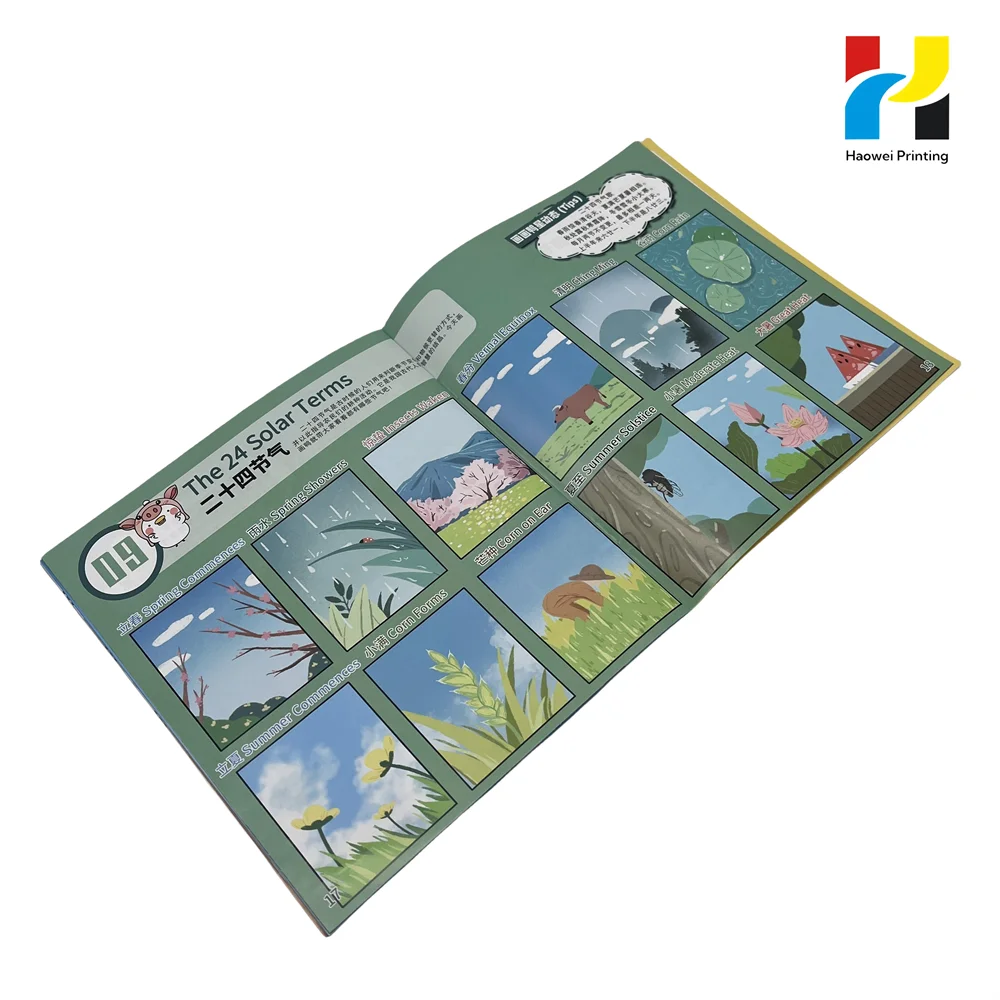 Customize Design for Company Introduction Full Color Printing Wireless Binding Saddle Stitch Booklet Brochure