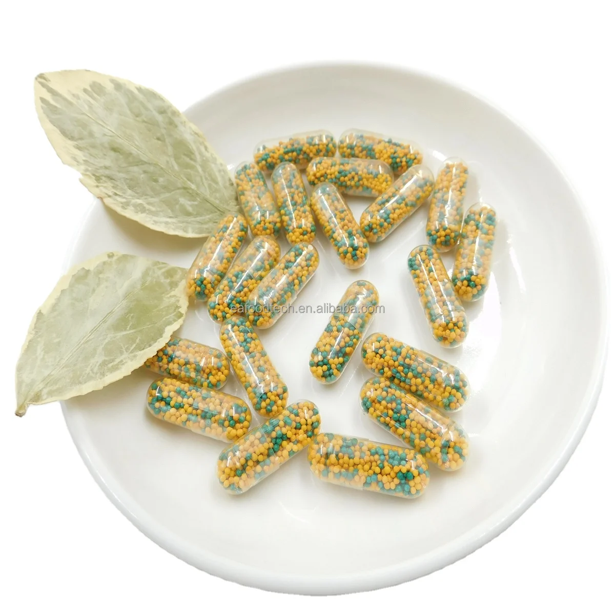 Slow-Release Multivitamin Mineral Hard Capsules for Boost immunity