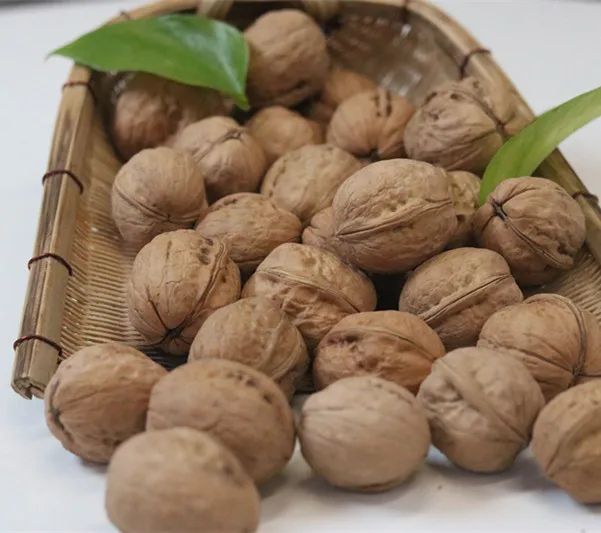 Top Grade Walnuts With Shell Kernel Dried Walnuts