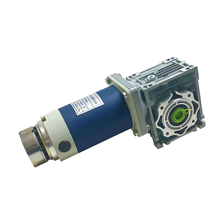 Manufacturer Well Made High Speed 3000rpm Worm Drive Dc Motor Dc Brush Worm Gear Motor