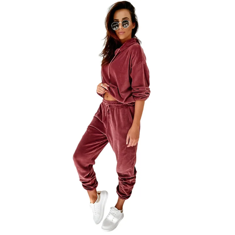 Active Jogger Suit Training Sweatsuit Women Fitted Gym Hooded velvet Velour Tracksuit
