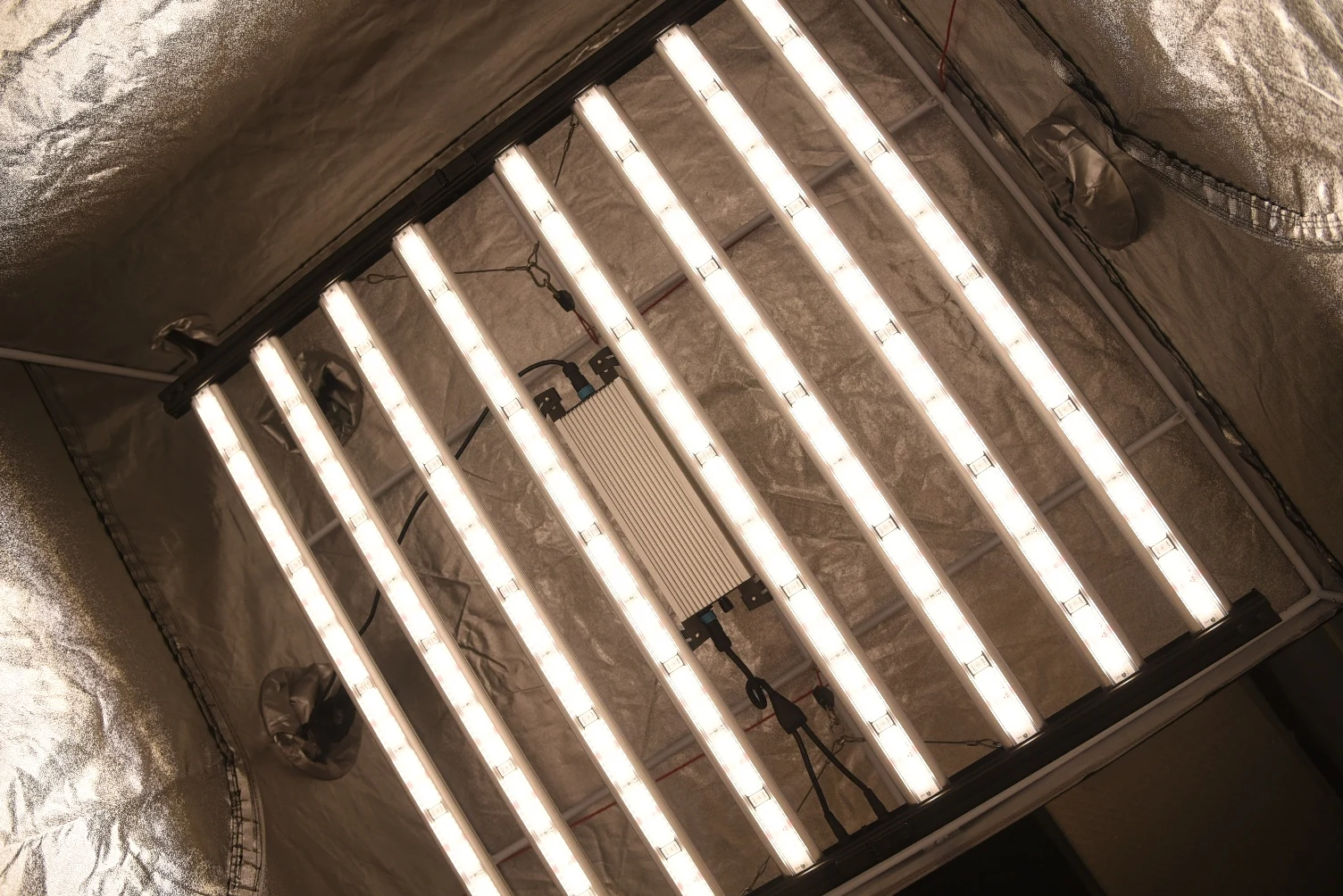 Hortibloom Full Spectrum commercial 1000w led grow light best samsang lm301 bar seeking business partners