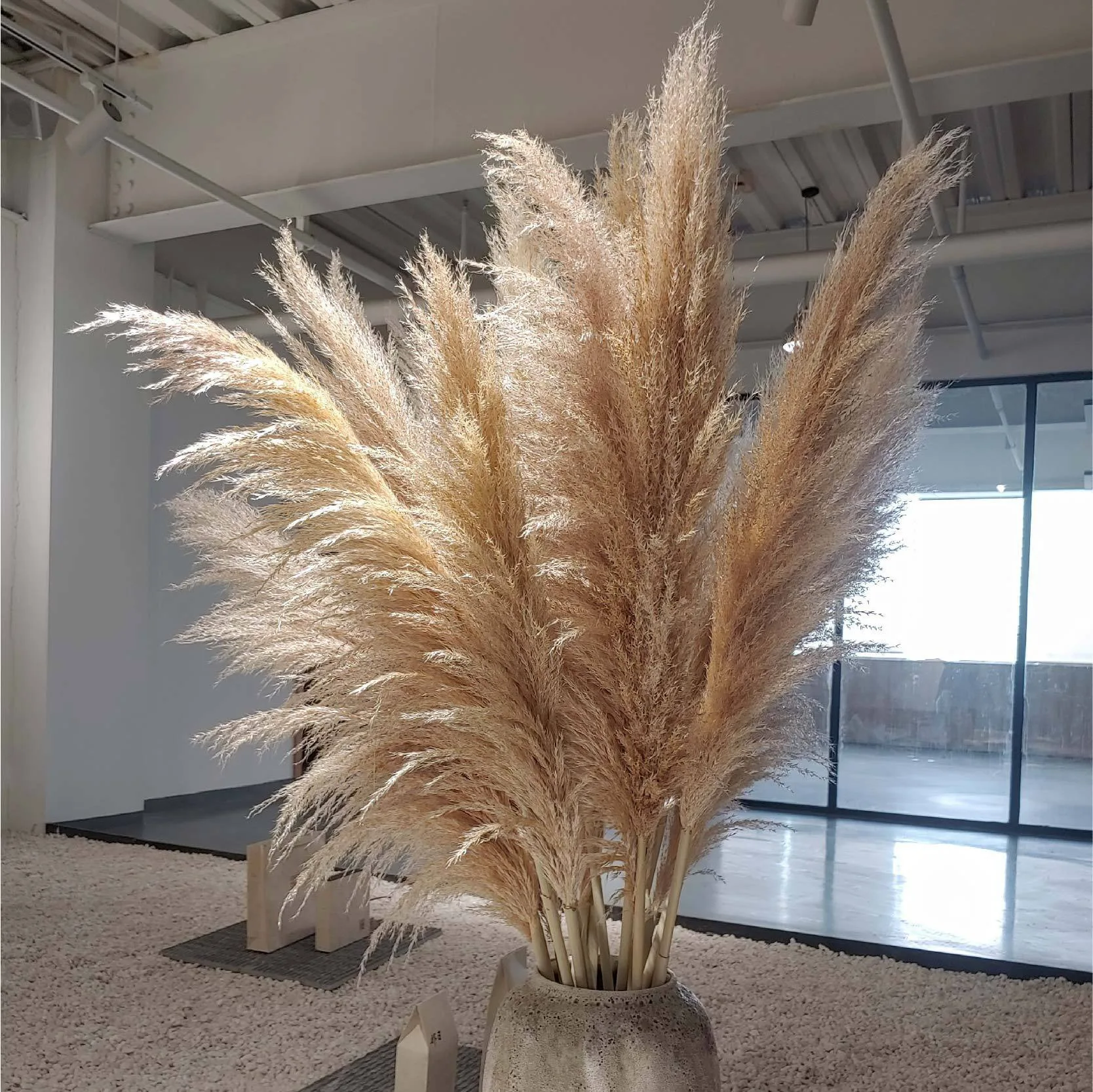 Hot selling  Wholesale  White Natural Real Dried Pampas Grass Dried Flower Plants  for  home Wedding Decoration