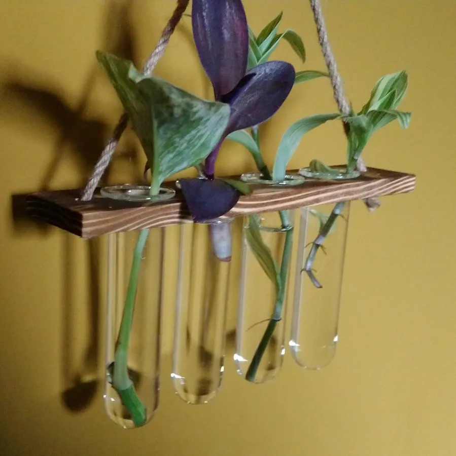 Glass Hanging Planter hydroponics Bohemia solid wood Wall hanging vases flower pots