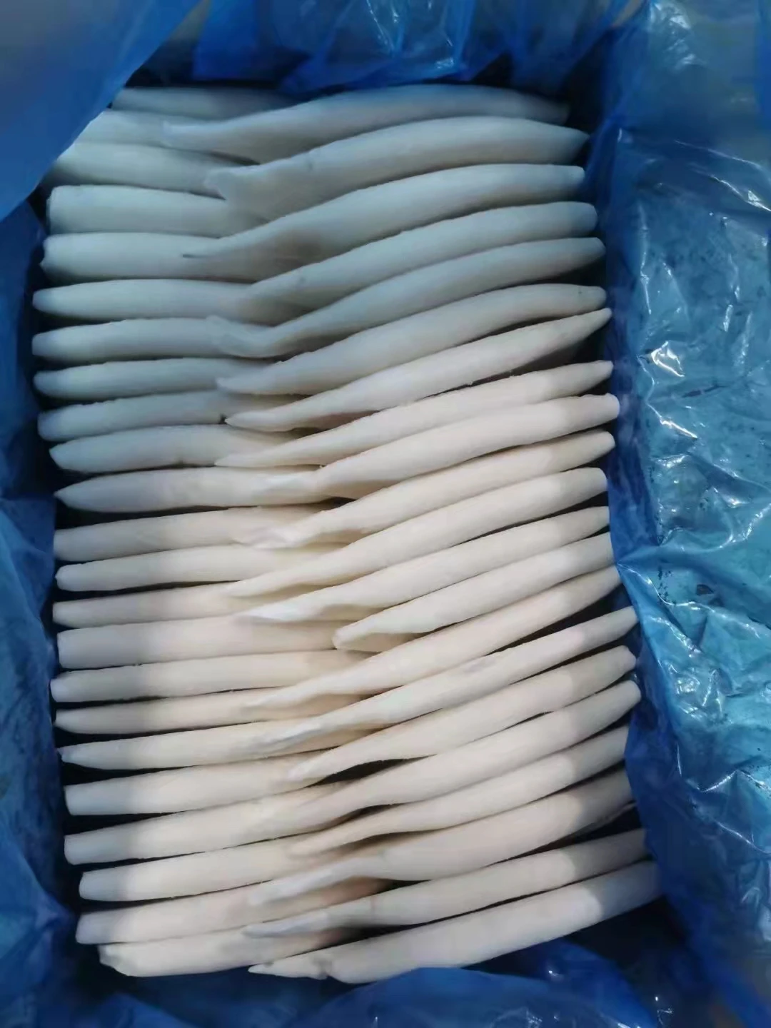 Горячая Распродажа 2021 морской замороженный кальмар гигантский всех размеров