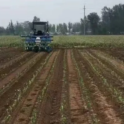 pepper transplanter 4 row watermelon tomato transplanter seedling planting machine onion transplanter