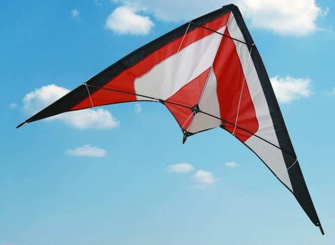 Dual-line Stunt kite, Advertising Stunt kite, Promotional Stunt kite