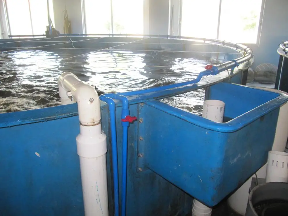 12000 L fiberglass tank for fish on growing fish use