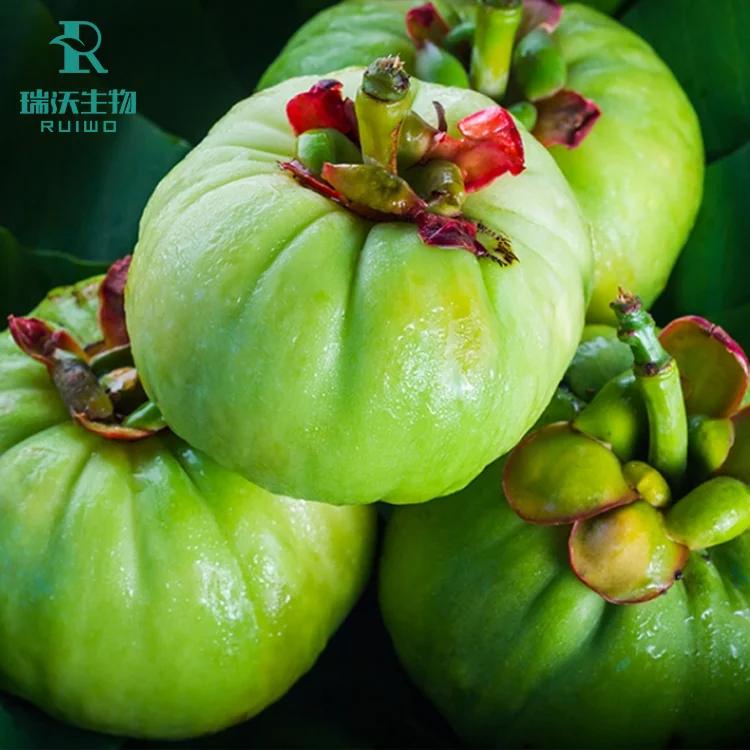 High Quality  HCA 70%  Garcinia Cambogia Extract for Weight Loss