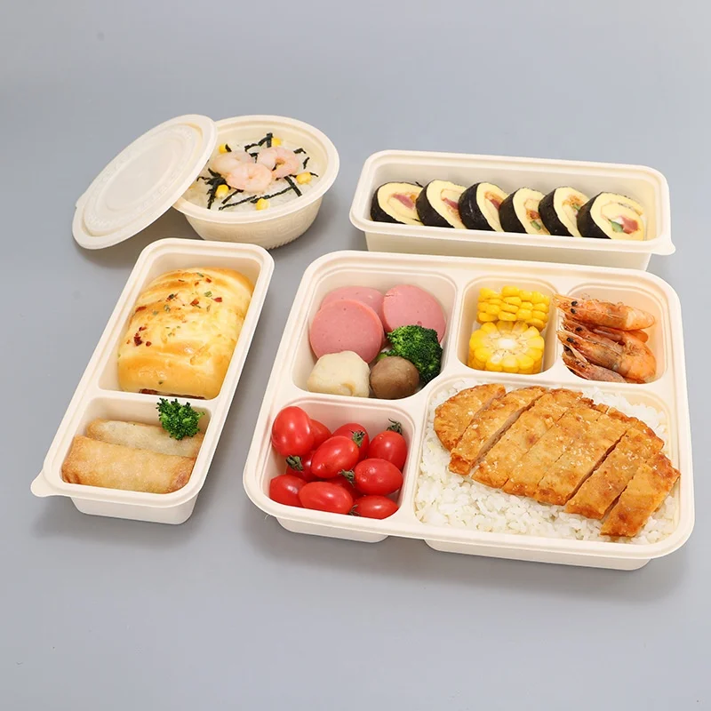 Biodegradable Tray Food Packaging Containers Lid Lunch Box Container Set