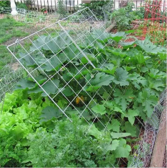 Cucumber Trellis, Metal Foldable A Frame Garden Trellis for Raised Bed Climbing Plants, Vegetables, Includes Plant Support Clips