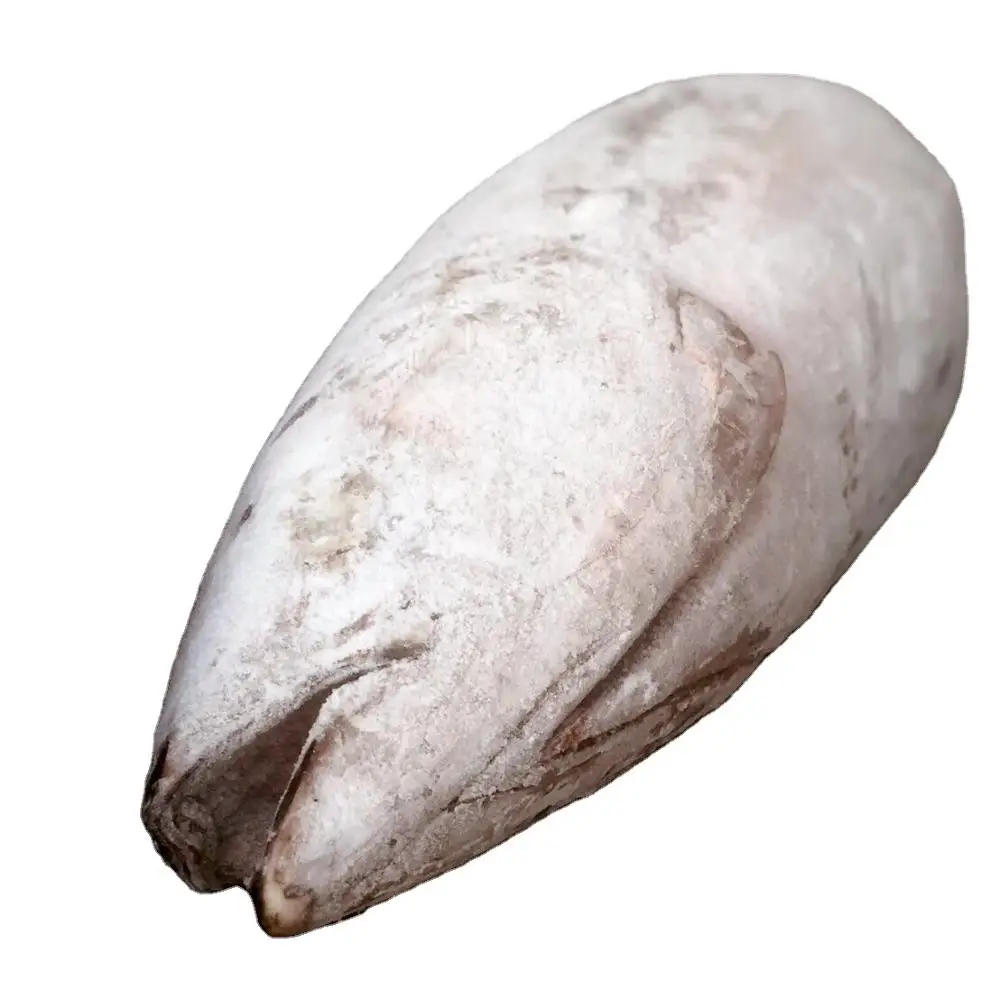 
Factory sale various IQF frozen albacore for fresh seafood 