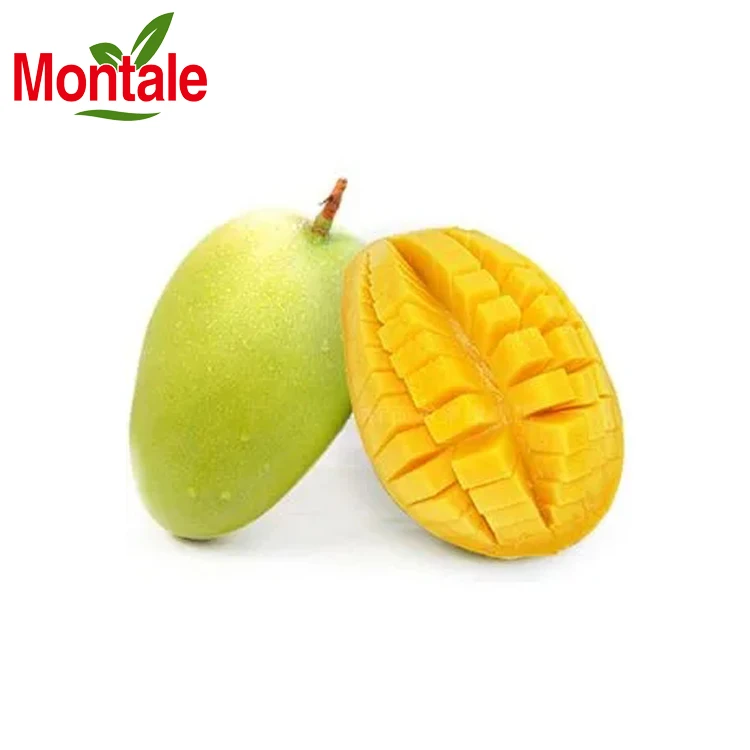 Good Price Fresh Fruit Mango high quality mango