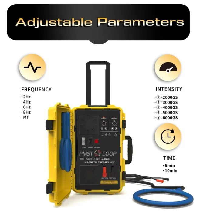 pemf pulsed electromagnetic therapy/PMST coil magnetic field therapy physiotherapy