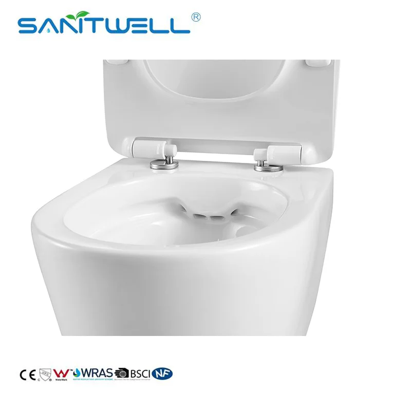European Standard Bathroom New Vortex Rimless Wall Hung WC Ceramic Customized Color WC Toilet Bowl