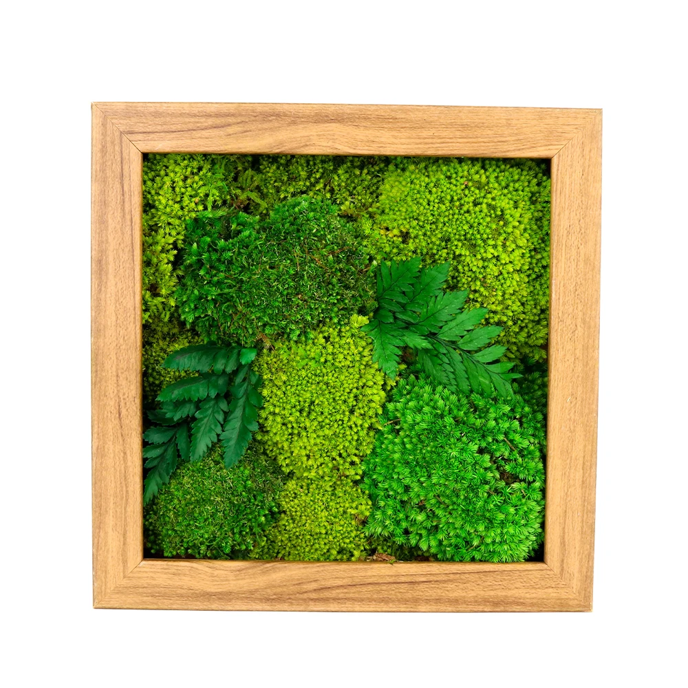 New Design moss frame natural preserved pole moss handmade DIY preserved reindeer moss frame wall art
