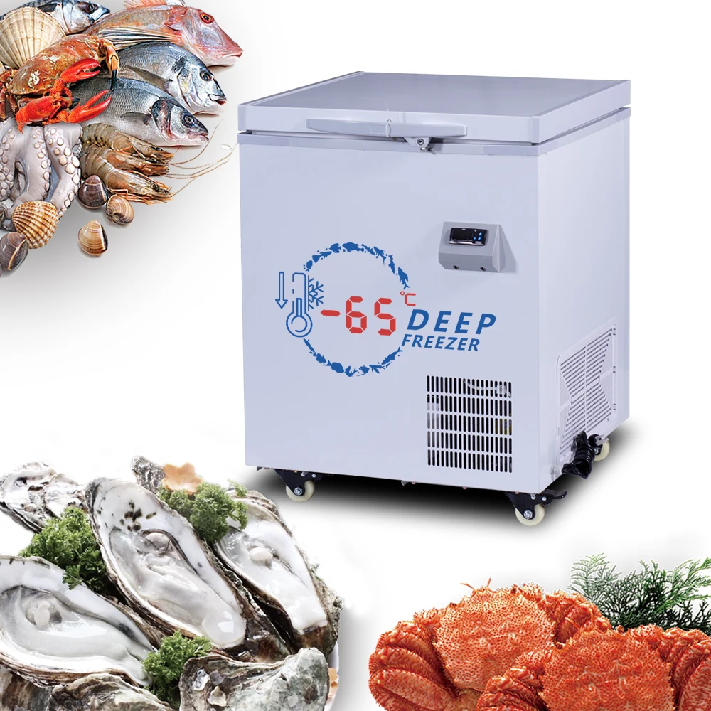 2024 hot sell chest seafood FREEZER Minus 60  degree horizontal seafood ultra  freezer seafood  ULT deep freezers for  tuna