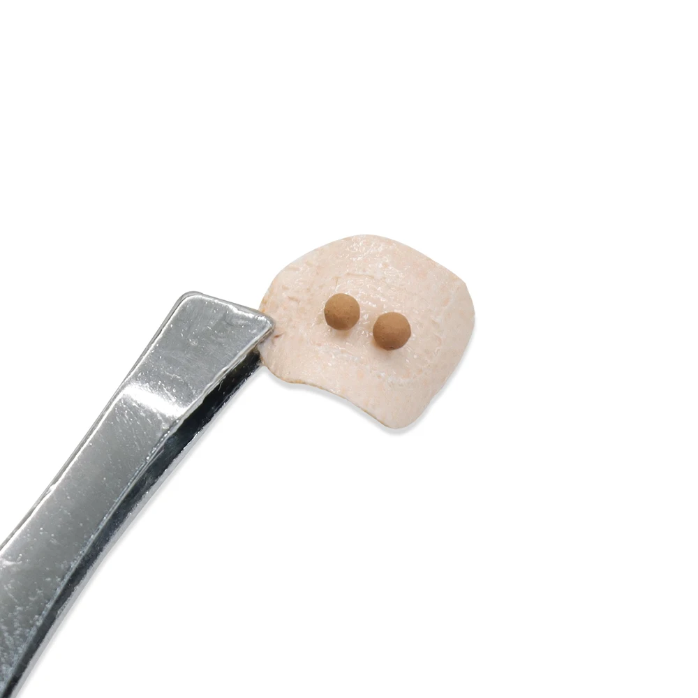 Hot Sale Magnetic Acupressure Ear Beads Pellets Seeds