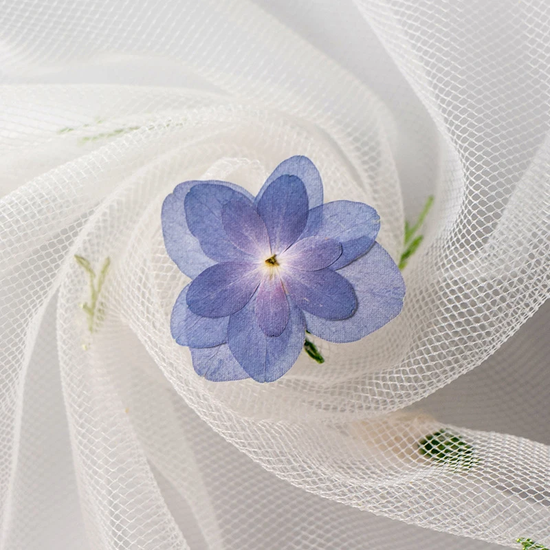 Materials Preserved natural real dry pressed dusty blue leaves Hydrangea flowers for resin wholesale dried pressed flower