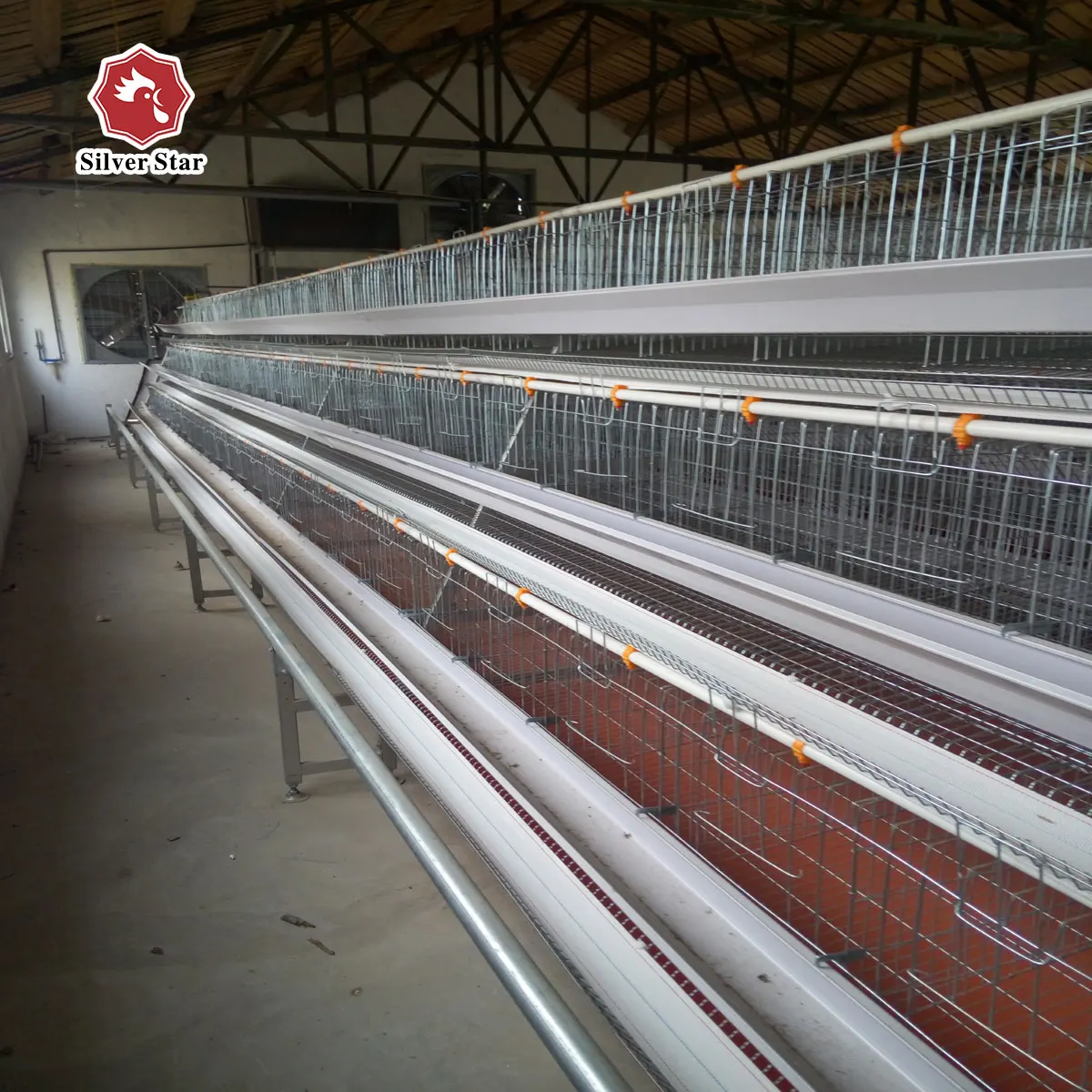 Semi Automatic Chicken Raising Equipment Layer Hens Cage System For Poultry Farm
