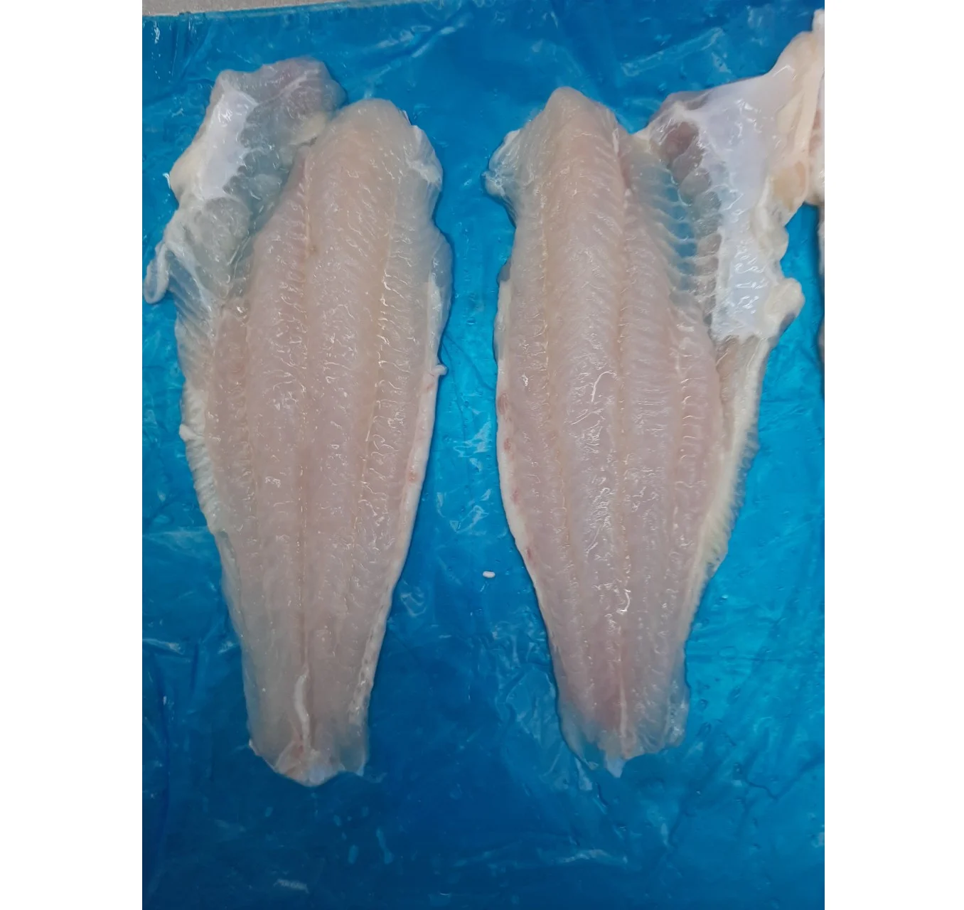 Pangasius fillet не Обрезанные лучшие морепродукты во