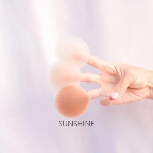 Nipple Covers 1 Pair Waterproof Seamless Invisible Reusable Sexy Breast Matte Women Adhesive Silicone Nipple Cover With Package