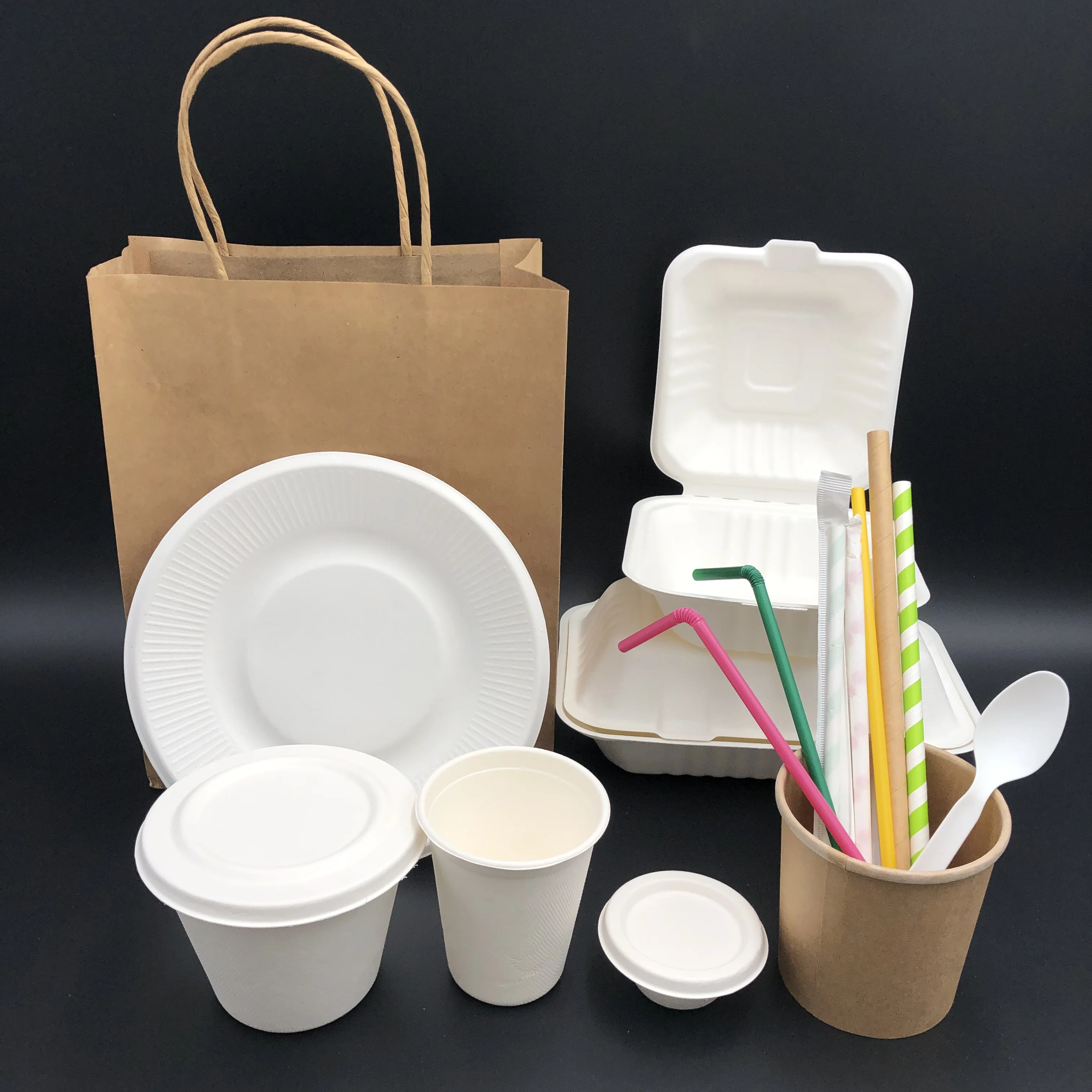 sustainable envases biodegradables sugarcane bagasse tableware lunch box disposable takeaway food packaging