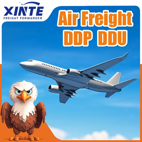 DDP/ DDU China to Japan Low Price Professional Logistics service China agent top 10 international shipping company in china