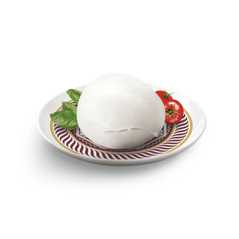Excellent Quality Fresh Mozzarella Buffalo PDO Cheese 4x750Gr Made in Italy Francia Latticini for Wholesale