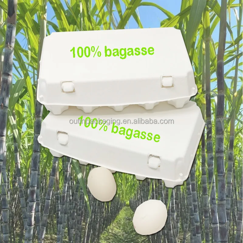 Eco Friendly Custom Logo Biodegradable 100% Bagasse Egg Tray Egg Cartons Box for Chicken Duck Egg Toys Packing Material E2 Outin